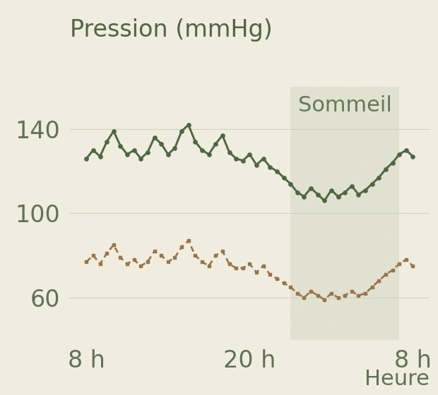 Profil fictif sur 24 heures : deux courbes pour les pressions systolique et diastolique, avec une zone ombrée pendant le sommeil.
